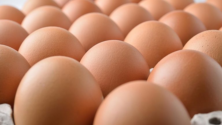 Les Bienfaits des Œufs Frais pour une Alimentation Saine